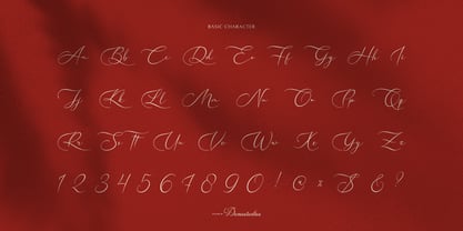 Nellysia Sorettein Font Poster 10