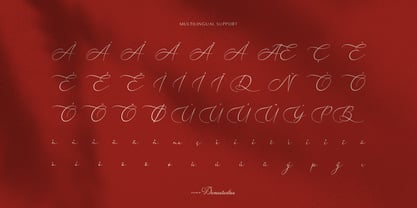 Nellysia Sorettein Font Poster 11