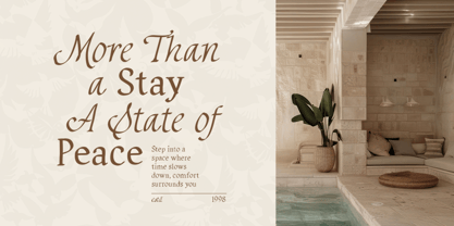 Author Desire Font Poster 5