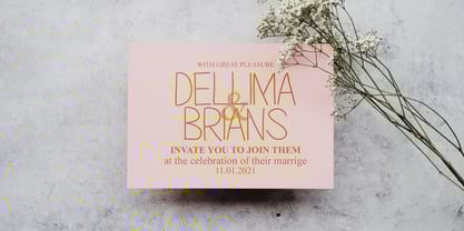 Merry Lenny Display Font Poster 8