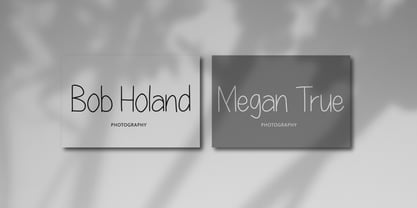 Merry Lenny Display Font Poster 3