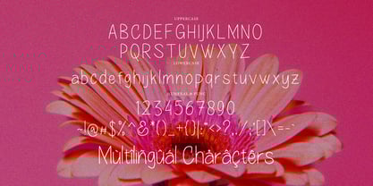 Merry Lenny Display Font Poster 5