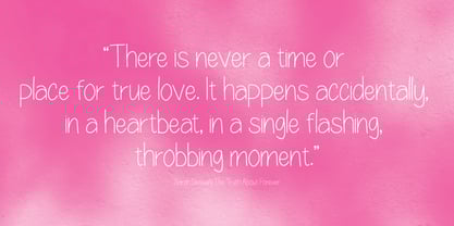 Merry Lenny Display Font Poster 4