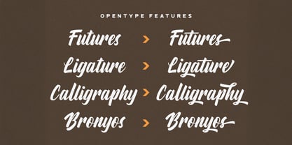 Aylafs Font Poster 2