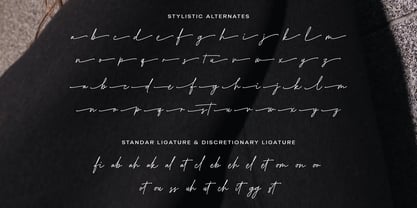 Botical Signature Font Poster 7