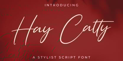 Hay Catty Font Poster 1