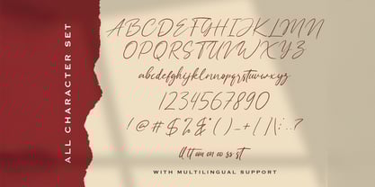 Hay Catty Font Poster 6