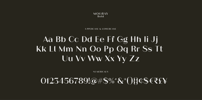 Mogray Font Poster 13