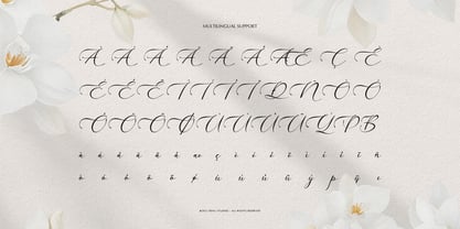 Willsyard Font Poster 11