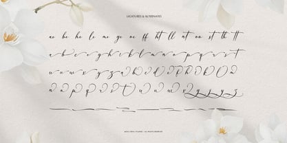Willsyard Font Poster 12