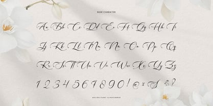 Willsyard Font Poster 10