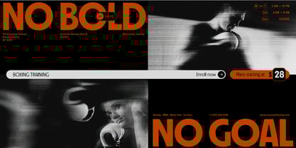 Suncoast Font Poster 11