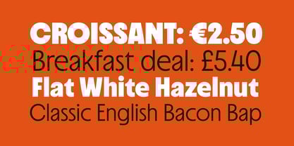 Suncoast Font Poster 2