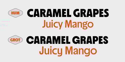 Suncoast Font Poster 7