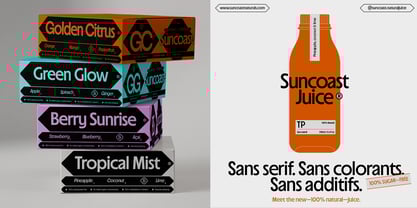 Suncoast Font Poster 8