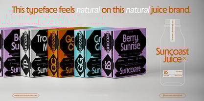 Suncoast Font Poster 6