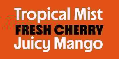 Suncoast Font Poster 5