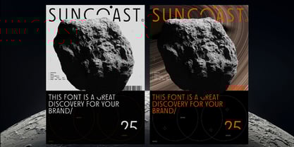 Suncoast Font Poster 13