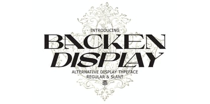 Backen Display Font Poster 1