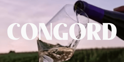 Congord Font Poster 6
