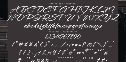 Minute Elegant Font Poster 14