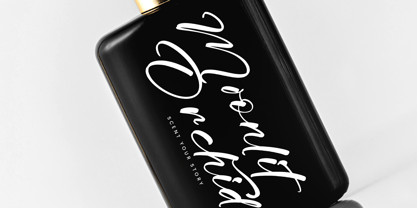 Minute Elegant Font Poster 12