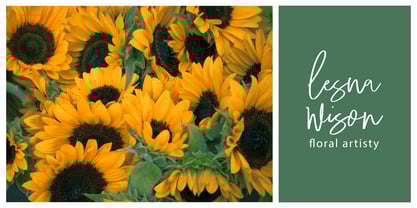 Hindya Signature Font Poster 2