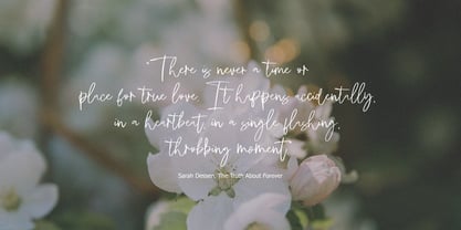 Hindya Signature Font Poster 3