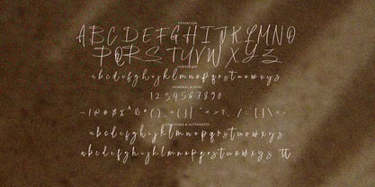 Hindya Signature Font Poster 8