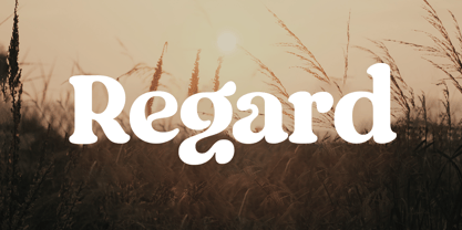 Regard SS Font Poster 1
