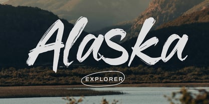 Dx Blash Font Poster 6