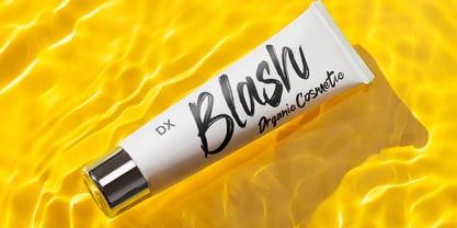 Dx Blash Font Poster 11