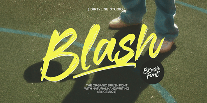 Dx Blash Font Poster 1