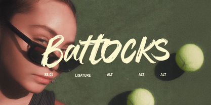 Dx Blash Font Poster 4