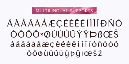 Lunea Sans Font Poster 11