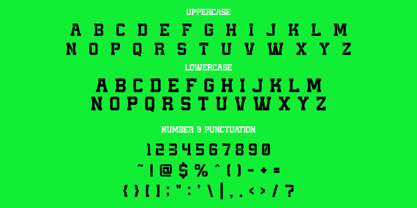 Magna Bold Font Poster 5