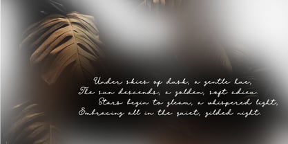 Xana Rosita Cyrillic Font Poster 7