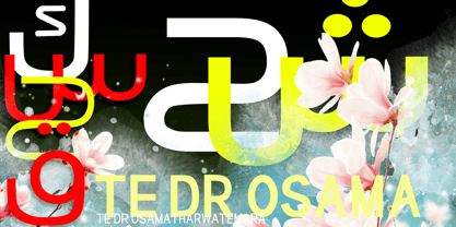 TE dr Osama Font Poster 7