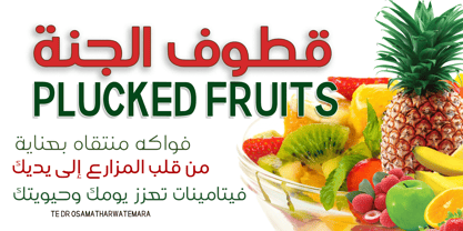 TE dr Osama Font Poster 3