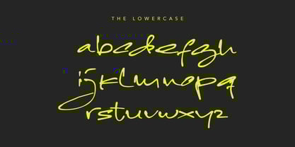 Funkysnap Font Poster 3