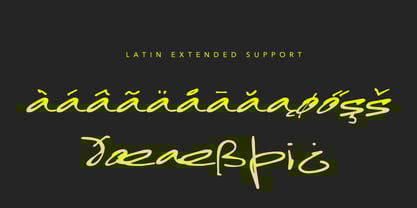 Funkysnap Font Poster 14