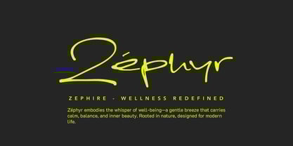 Funkysnap Font Poster 13