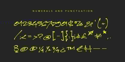 Funkysnap Font Poster 11