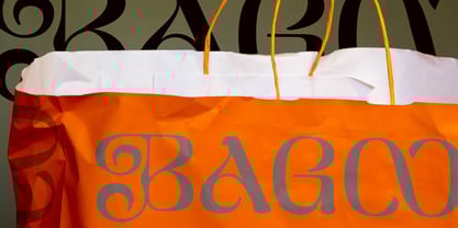 Naylira Font Poster 10