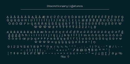 Naylira Font Poster 11