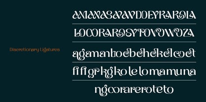 Naylira Font Poster 7