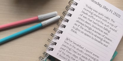 Naylira Font Poster 14