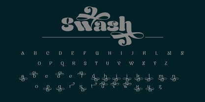 Naylira Font Poster 13