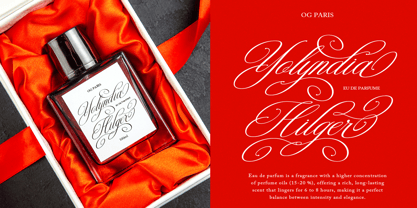 Mozilla Script Font Poster 14