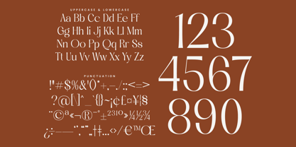 Qasntel Font Poster 15